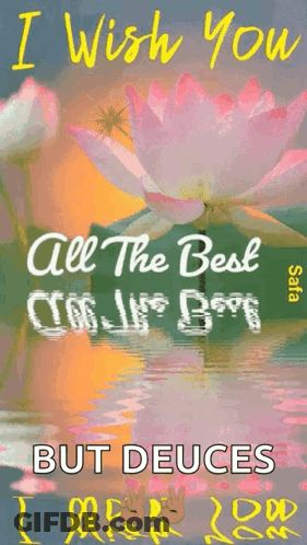 Lotus Card I Wish You All The Best GIF