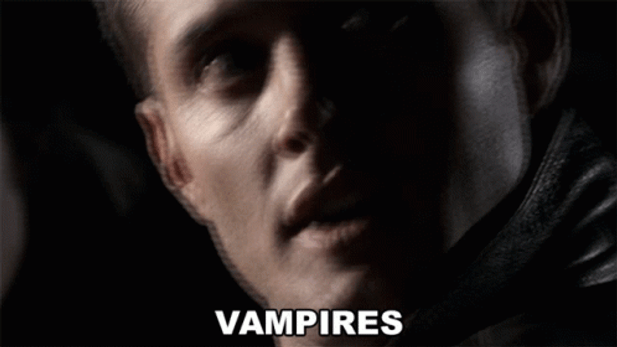 Louis De Pointe Vampires GIF