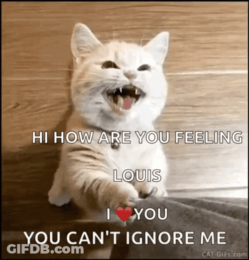 Louis I Love You Can't Ignoring Me GIF