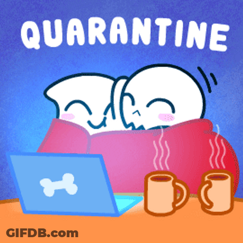 Love Couple Quarantine GIF