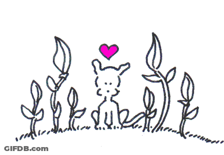 Love Flowers GIF