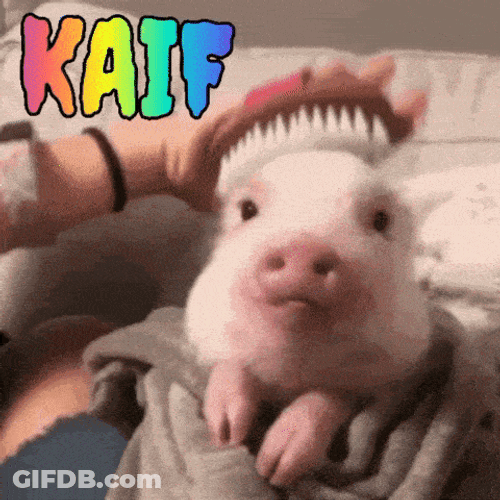 Love GIF