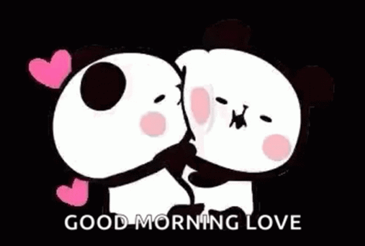 Love Good Morning Cuddling Panda Couple GIF