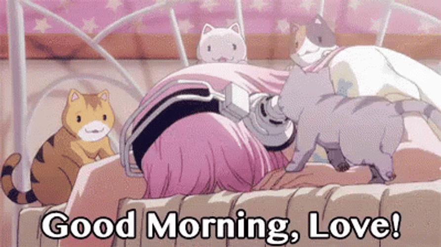 Love Good Morning Super Sonico And Her Cats GIF