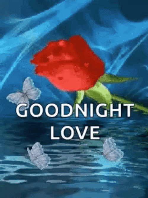 Love Good Night Reflecting Water GIF