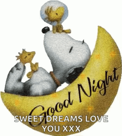 Love Good Night Sleeping Snoopy GIF