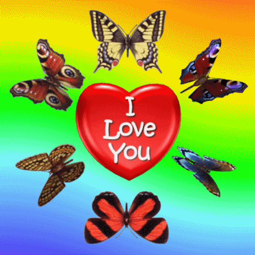 Love Heart Butterflies GIF