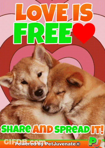 Love Is Free Poster With Dogs Hugging GIF