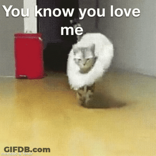 Love Me GIF
