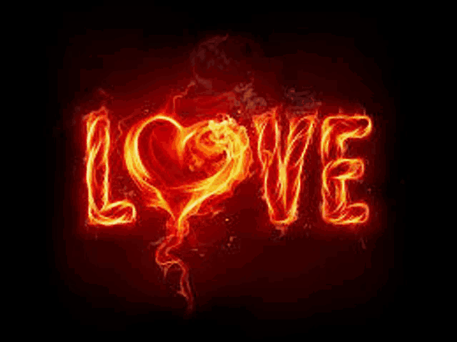 Love Meme GIF