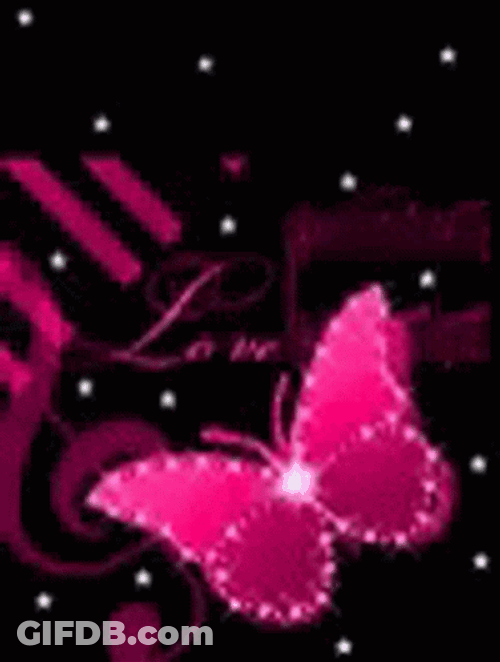Love Pink Butterflies GIF