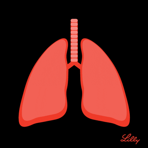 Love Protect Your Lungs GIF