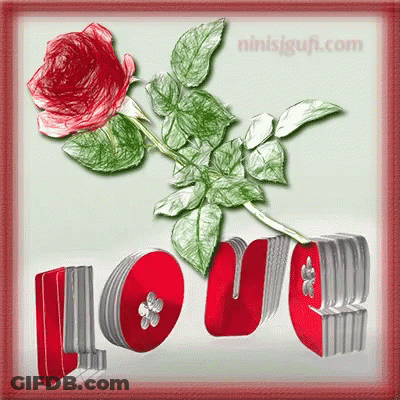 Love Rose GIF