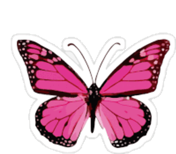 Love Sticker GIF