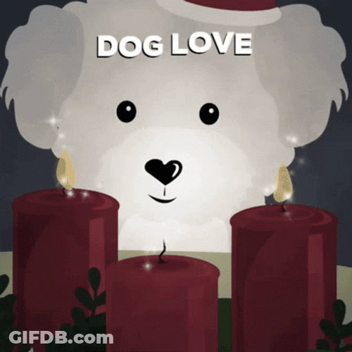 Love White Dog Watching Candles GIF