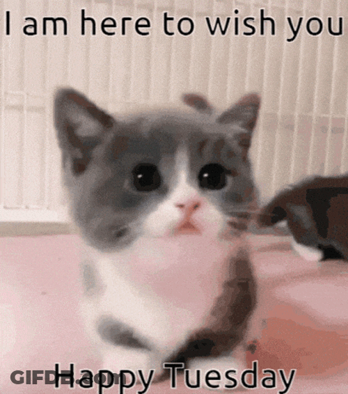 Love You GIF