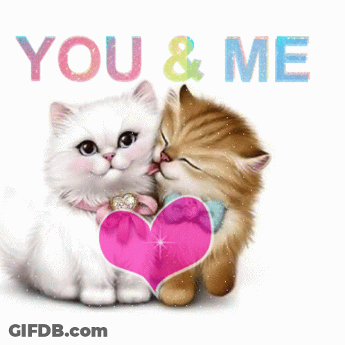 Love You Kitten GIF