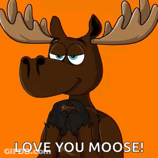Love You Moose Cartoon GIF