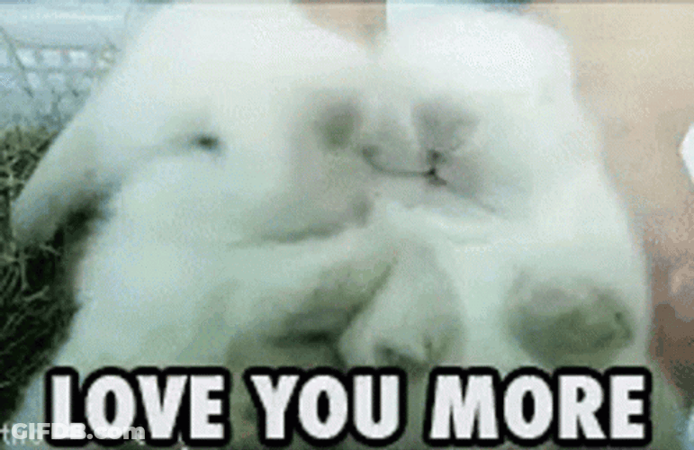 Love You More Bunny GIF
