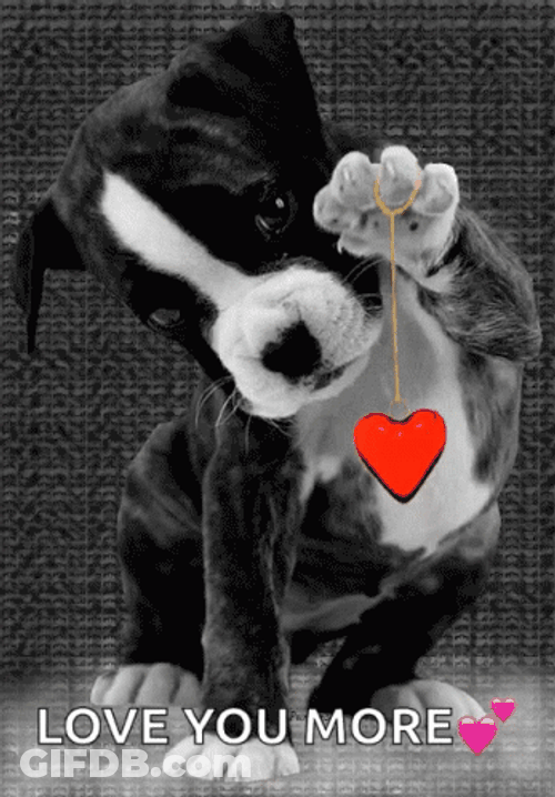 Love You More Puppy GIF