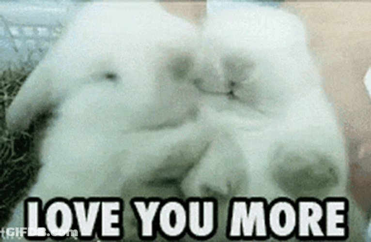 Love You More Rabbits Kissing GIF