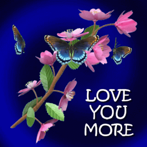 Love You More With Butterflies GIF