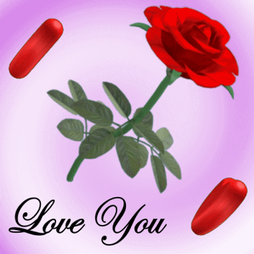 Love You Rose And Hearts GIF