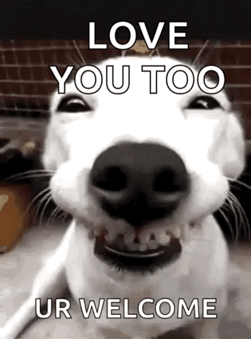 Love You Too Ur Welcome Smiling Dog GIF