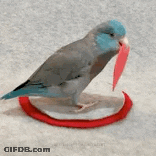 Love Youuu Love You Too GIF