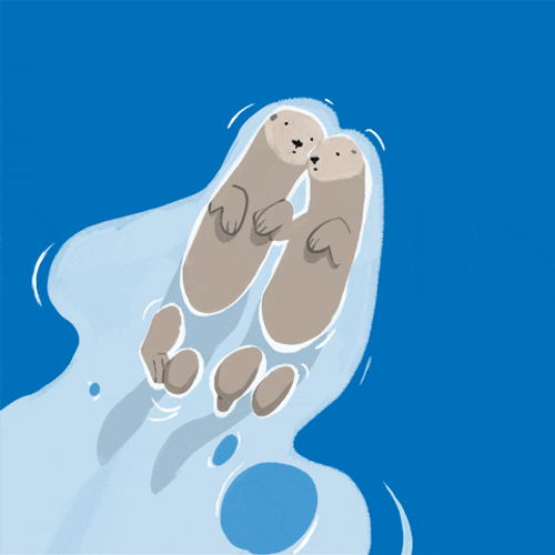 Lovely And Cute Seal Couple GIF