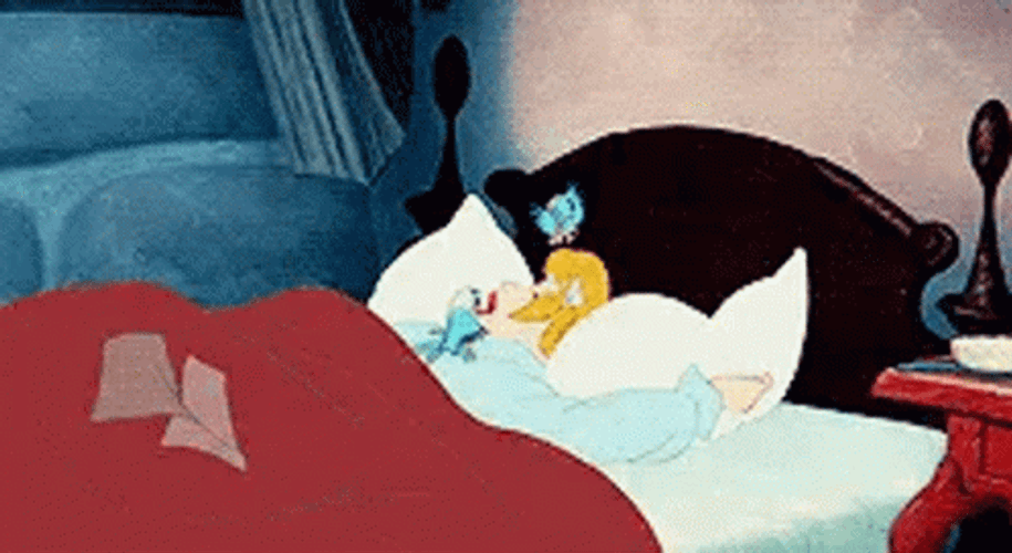 Lovely Cinderella Sleeping GIF