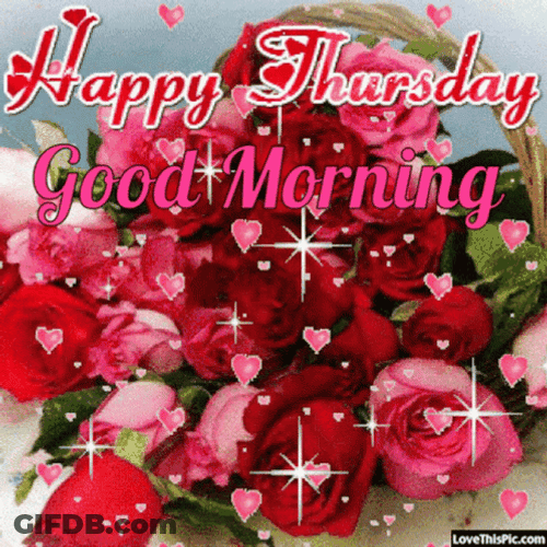 Lovely Flowers Thursday Morning GIF