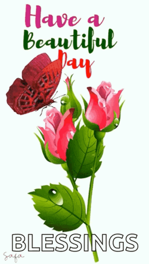Lovely Flowers Wonderful Day Blessings GIF