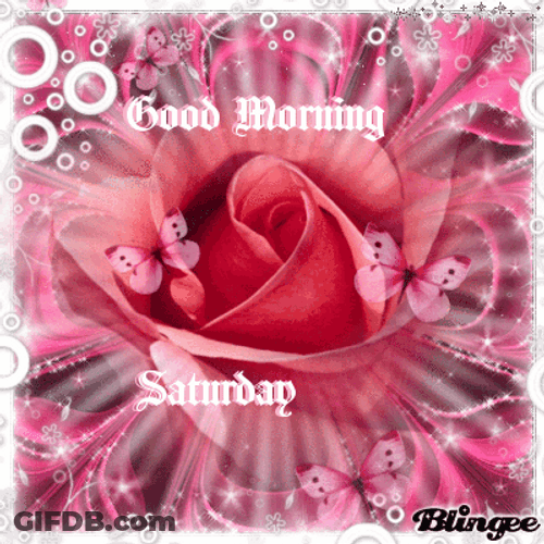 Lovely Rose Art Saturday Blessings GIF