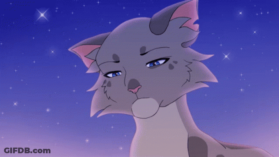 Lovely Warrior Cats GIF