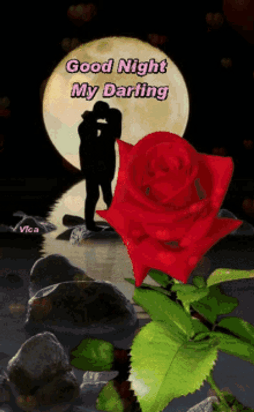 Lovers And Full Moon Rose Good Night GIF