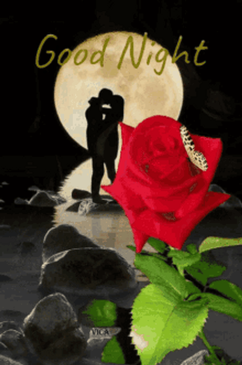 Lovers Under Moonlight Rose Good Night GIF
