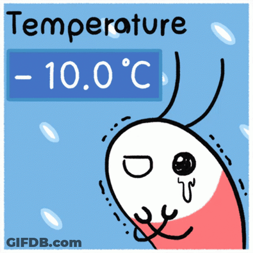 Low Temperature Shy Shrimp Crying GIF