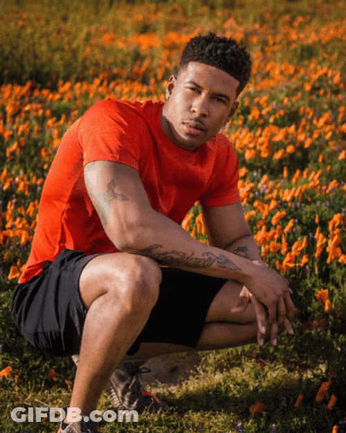 Low Tier God Flower Fields GIF