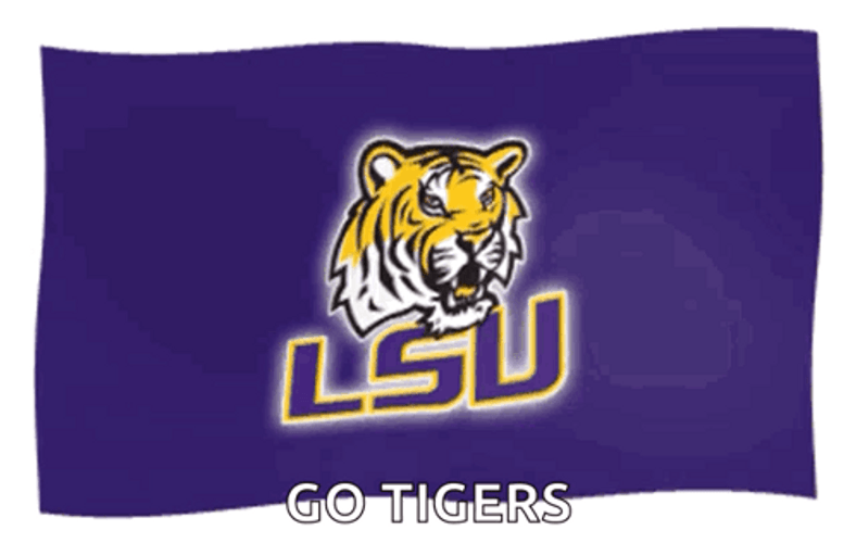 Lsu Football Go Tigers GIF