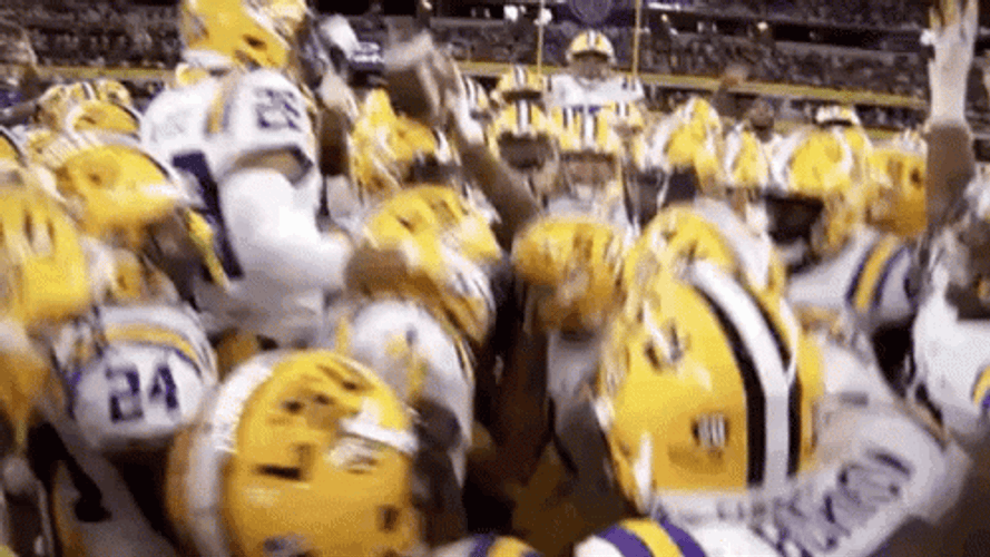 Lsu Football Rejoicing GIF
