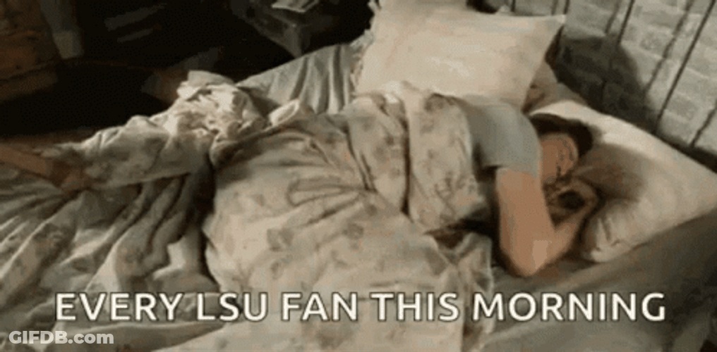 Lsu Football VEvery Fan This Morning GIF