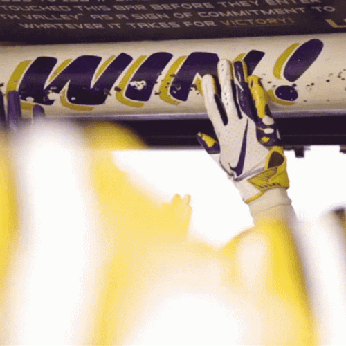 Lsu Football Win GIF