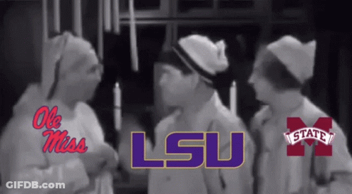 LSU Group Of People GIF