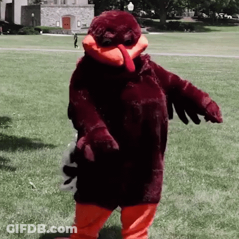 LSU Vs Alabama Football Game GIF
