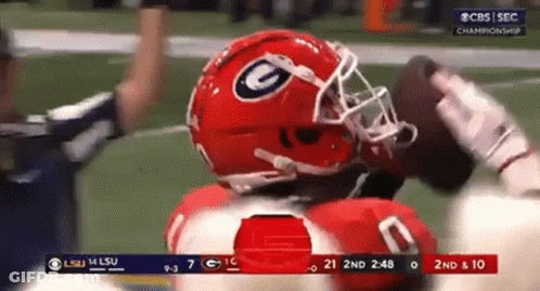 LSU Vs Georgia Tech Football Game GIF