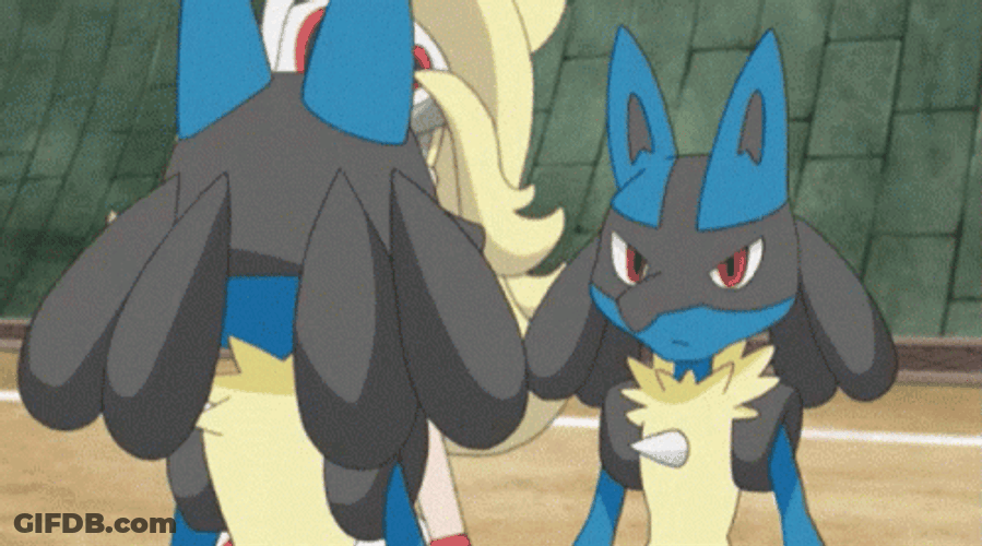 Lucario Meets Another Lucario GIF