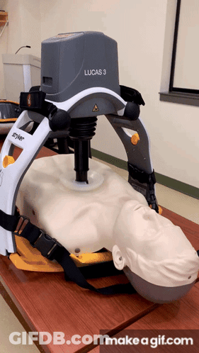 Lucas 3 Device On Mannequin GIF