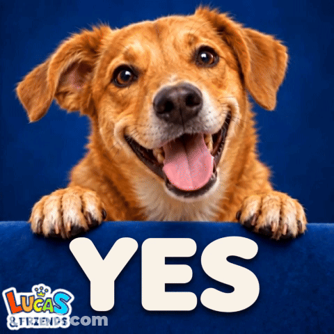 Lucas And Friends Ad With Dog GIF