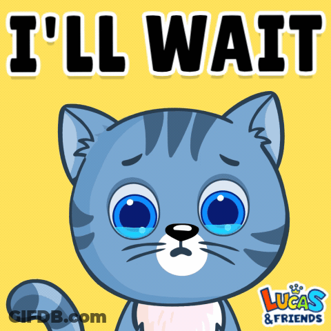 Lucas And Friends Cat GIF